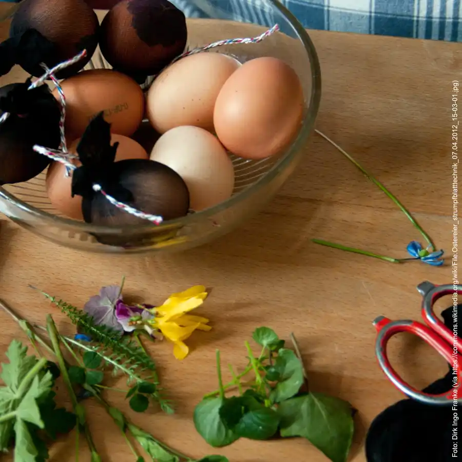 Ostereier natürlich färben mit Kindern – Eier und Kräuter