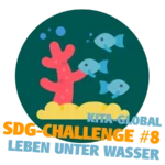 SDG-Challenge für Kitas: Leben unter Wasser