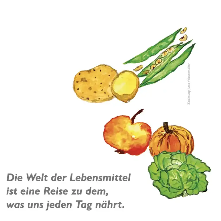 Welternährung im Kinderbuch – Globales Lernen in der Kita