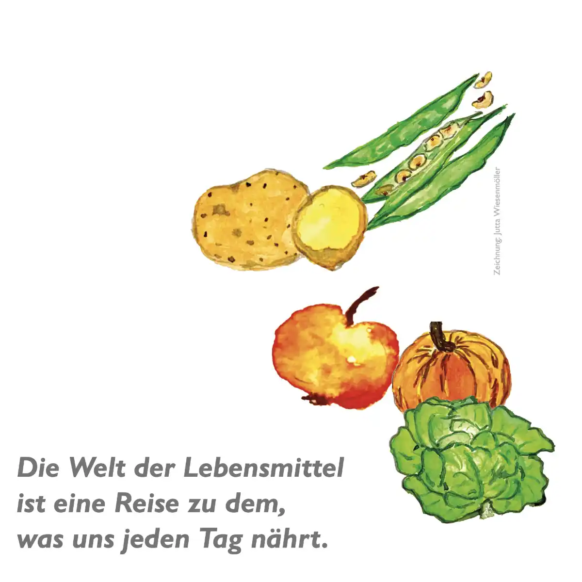 Welternährung im Kinderbuch – Globales Lernen in der Kita